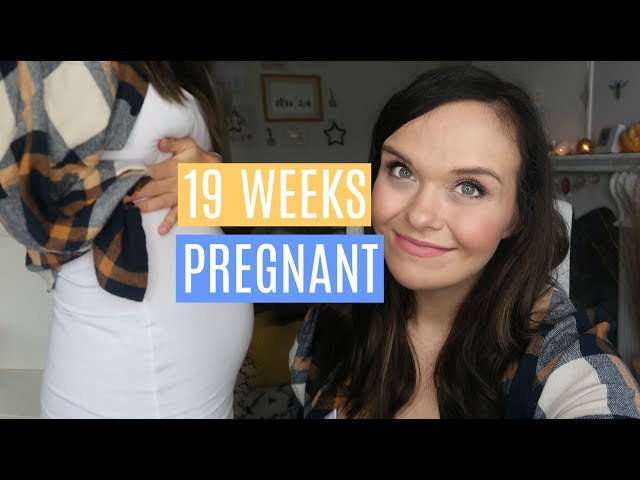 19 WEEKS PREGNANT - TOUGH WEEK, SCAN WORRIES & STICKLER SYNDROME