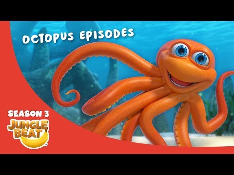 Outstanding Octopus  – JB S3 Animal Compilation #2