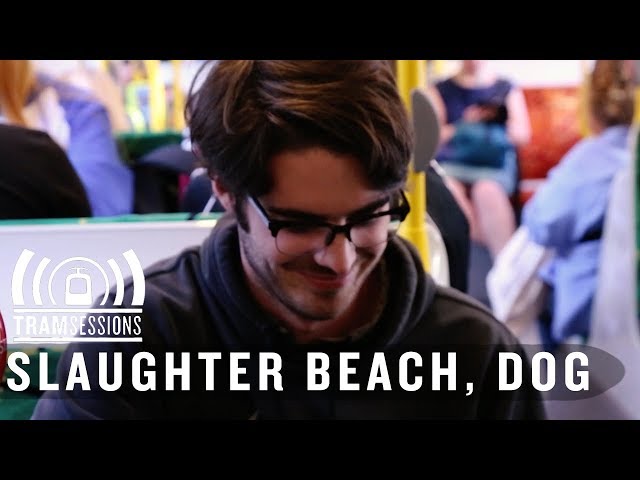 Slaughter Beach, Dog - Bad Beer | Tram Sessions