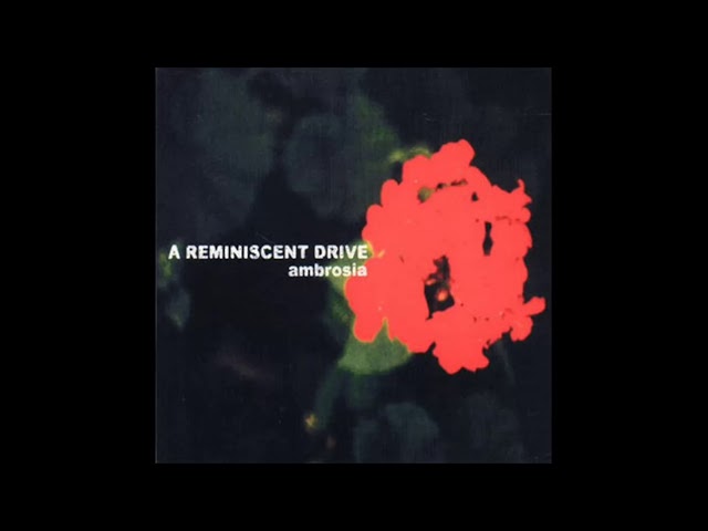 What's Your Style? - A Reminiscent Drive