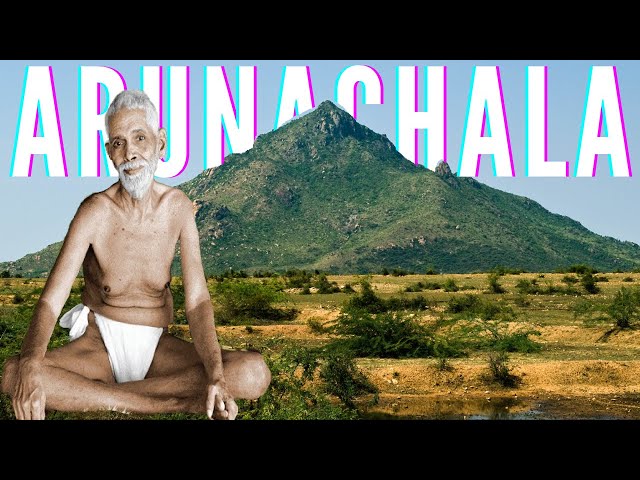 EXPERIENCING ARUNACHALA | Sri Ramana Maharshi Ashram, Thiruvannamalai