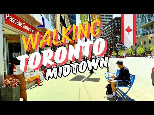 Toronto Walking Tour: Sunny Stroll from Yonge & Lawrence to Eglinton 🌞🚶