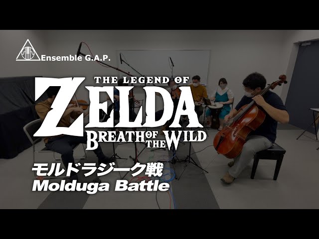 ゼルダの伝説 ブレス オブ ザ ワイルド　モルドラジーク戦 / The Legend of Zelda: BotW　Molduga Battle