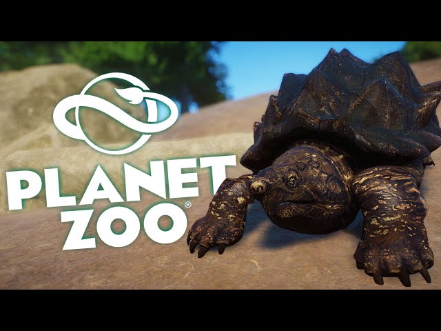 ALLIGATOR SNAPPING TURTLE!!! | Planet Zoo Mod (Bahasa Indonesia)