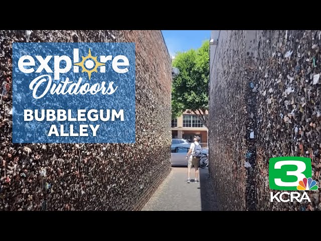 Explore Outdoors: Bubblegum Alley: Delightful or Disgusting, you decide
