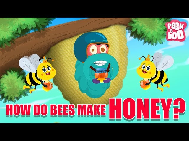 How Do Bees Make Honey? - The Dr. Binocs Show | Best Learning Videos For Kids | Peekaboo Kidz