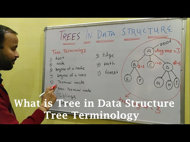 What is Tree in data structure ? Tree Terminology in Hindi | CSE Gyan
