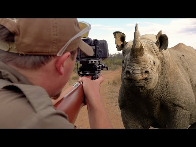 Photo Hunting Black Rhino | The Big 5 Photo Hunting Series - EP 02