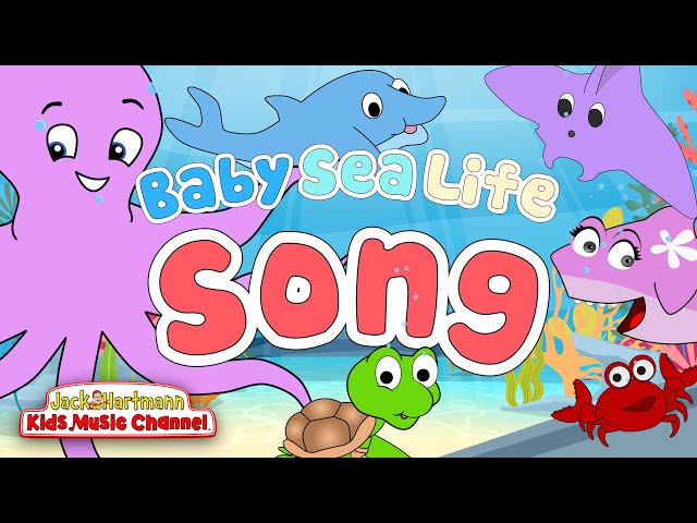 Baby Sea Life Song | Jack Hartmann