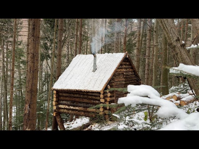 Building a Bushcraft Log Cabin for Survival in the Woods, Life Off The Grid