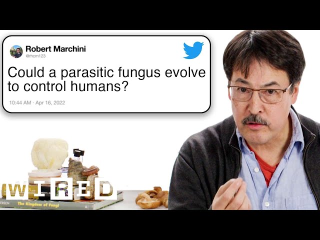 Mycologist Answers Mushroom Questions From Twitter 🍄 | Tech Support | WIRED