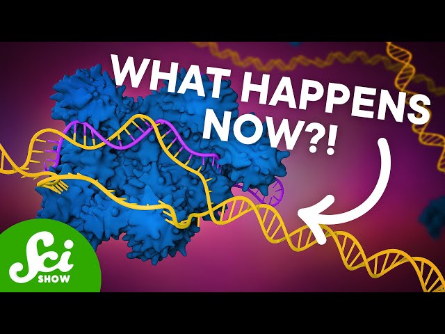 The First CRISPR Gene Therapy Is Here