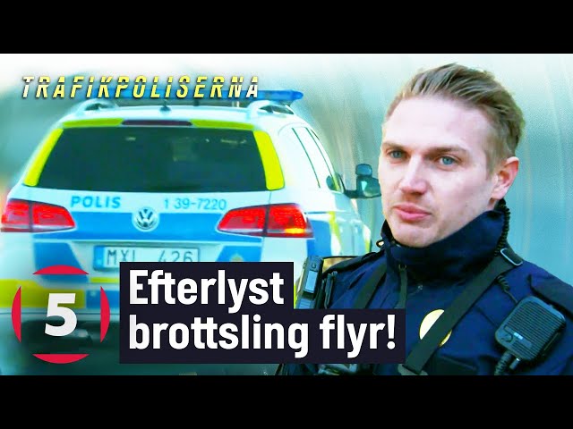 Polisen jagar efterlyst brottsling som sätter plattan i mattan! | Trafikpoliserna | Kanal 5 Sverige