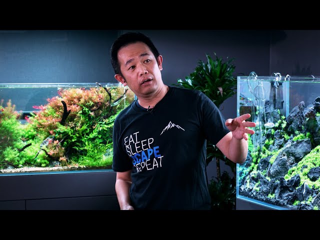 MASTERCLASS - HOW TO BUILD THE PERFECT AQUASCAPE FOR CONTESTS - BY WORLD CHAMPION JOSH SIM