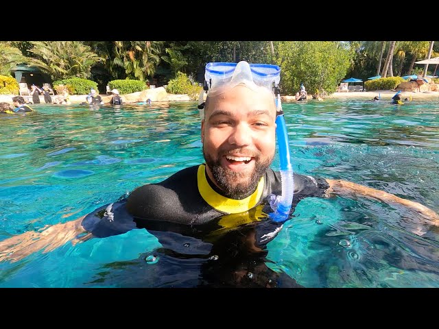 I'm Back at Discovery Cove! An All-Inclusive Day Experience in Orlando