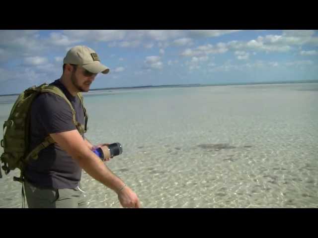 Desert Island Survival- Bottle Fishing Rig- Black Scout Tutorials