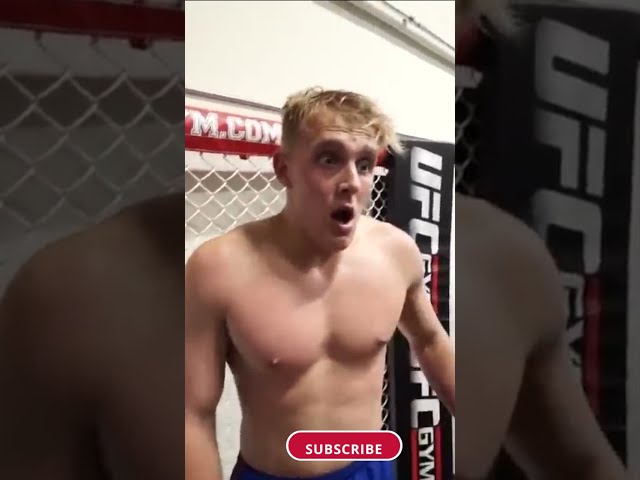Jake Paul Getting Smashed in MMA! 😂