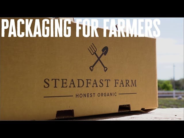 Cardboard Box Packing at Steadfast Farm - From The Field samples