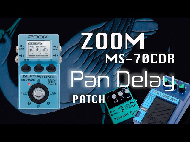 Zoom MS-70CDR  ⌛ PAN DELAY ⏳ Effect - You MUST have it!