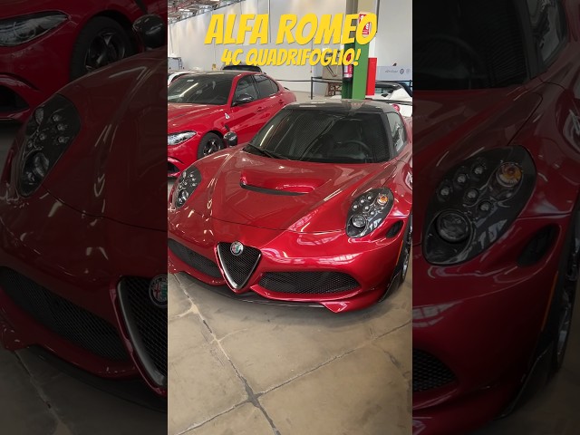 The car you didn’t know existed - Alfa Romeo 4C Quadrifoglio #shorts #petrolped #alfaromeo #alfa4c