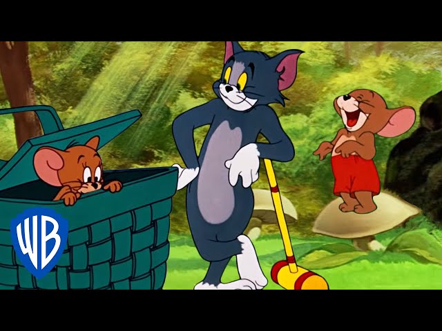 Tom & Jerry in italiano | Un po' di aria fresca! | WB Kids