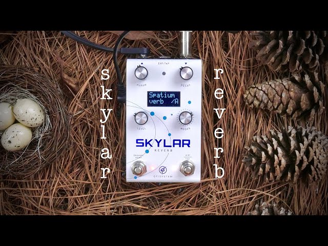 GFI System Skylar Reverb Demo | All Settings | No Talking | STEREO