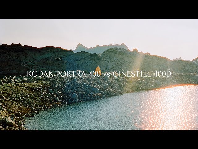 Kodak Portra 400 vs Cinestill 400D: Nerdy film comparisons