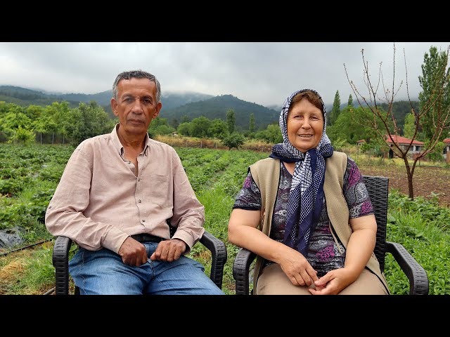 Köyceğiz'den Kaz Dağları'na bir göç hikayesi  "Koah hastasıydım, burada iyileştim"
