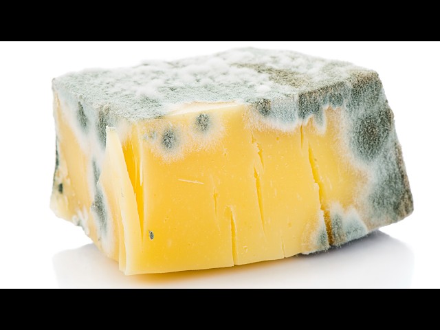 The Big Lies You've Been Believing About Cheese