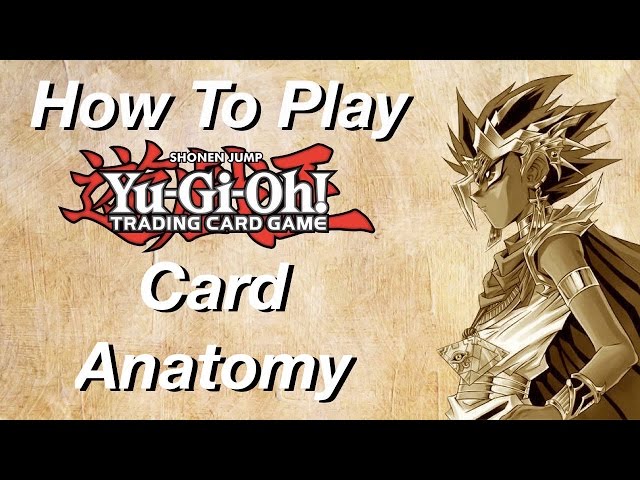 How to Play Yu-Gi-Oh: Card Anatomy!