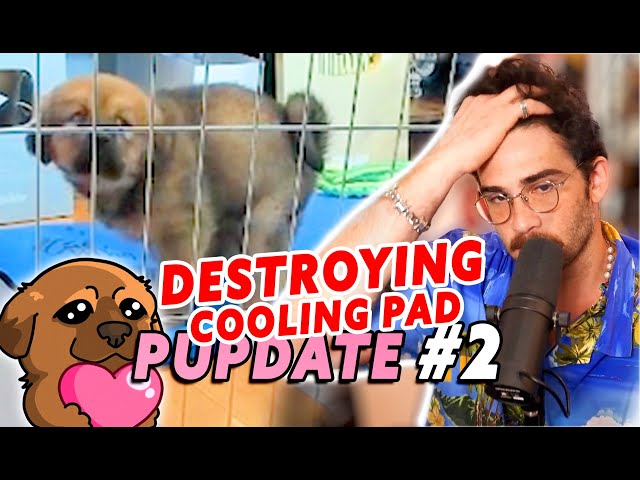 PUPDATE #2 | KAYA Straight up POOPS The Cooling Pad BAD Day for HASAN