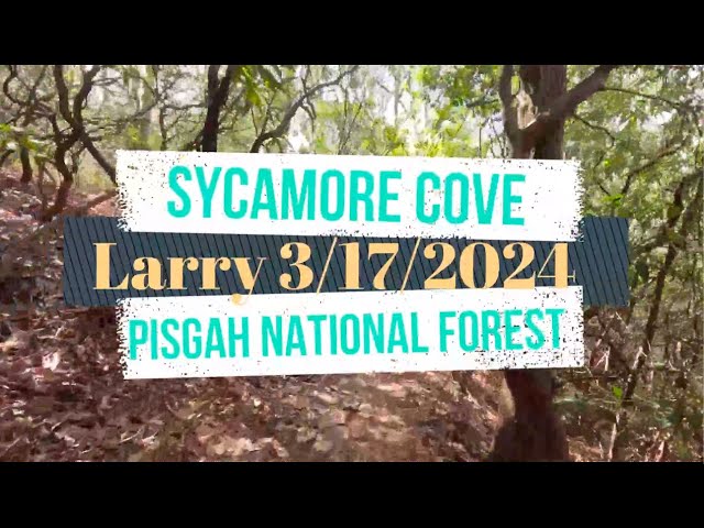 Pisgah National Forest   Sycamore Cove 3-17-2024  Larry Byrnes