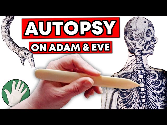 Autopsy on Adam & Eve - Objectivity 256