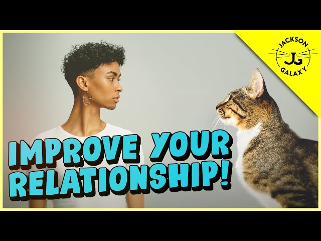 The KEY to a Better Relationship with Your Cat!