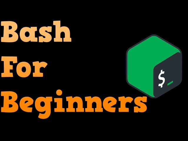 Bash Shell Scripting for Beginners 2019