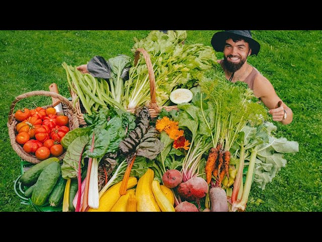 Chef To Gardener | Live Garden Tour