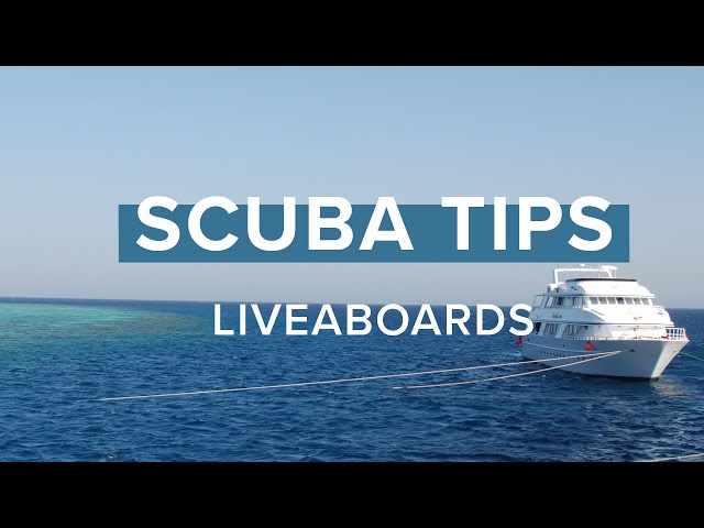 Liveaboard Advice | Scuba Tips | @simplyscuba