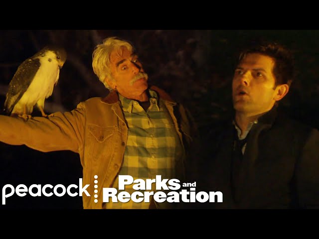 Ben the Baby Snow Owl | Parks and Recreation