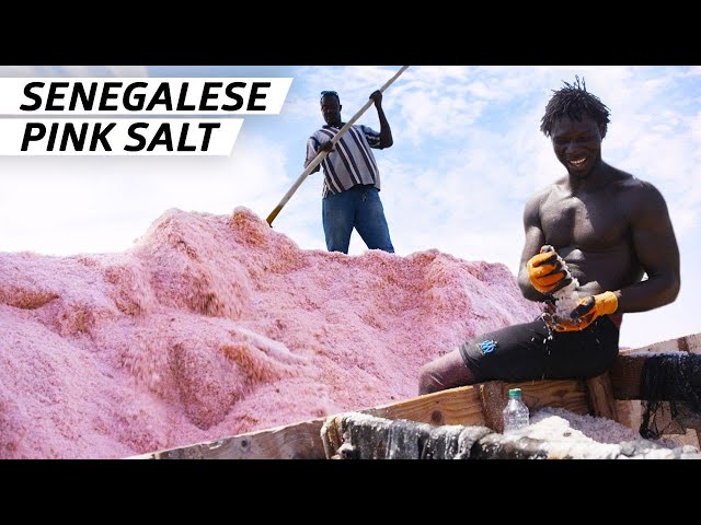 How 60,000 Metric Tons of Salt Are Harvested from One of the World’s Saltiest Lakes  — Handmade