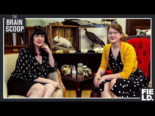 What should museums do with their dead? (w/ Caitlin Doughty!)