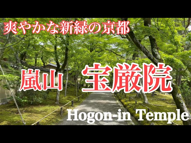 2024年4月25日 爽やかな新緑の京都 嵐山宝厳院を歩く Walking around Hogon-in Temple in Kyoto 【4K】
