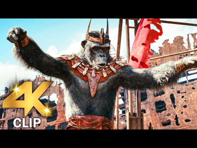 Noa Meets Evil Ape King Proximus Caesar | KINGDOM OF THE PLANET OF THE APES (2024) Movie CLIP 4K