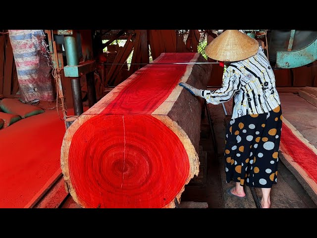 Wood Cutting Skills // Wood Has The Most Beautiful Color You Have Ever Seen