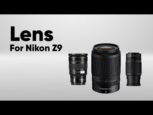 5 Best Lens for Nikon Z9
