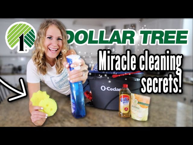 9 *ALL NEW* MIRACLE CLEANERS you SHOULD be buying! ❤️ some BETTER than the Dollar Tree!