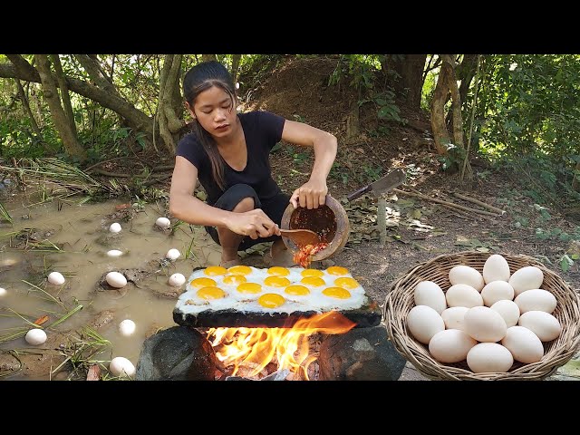 Catch fish Pick egg for food of survival - Egg grill on rock with hot chili sauce so delicious food