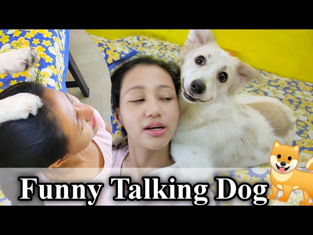 Riobaby Ne  Head Massage Kiya Mera 🥰 | Lolo and Rio - Funny Talking Dog  Episode - 4