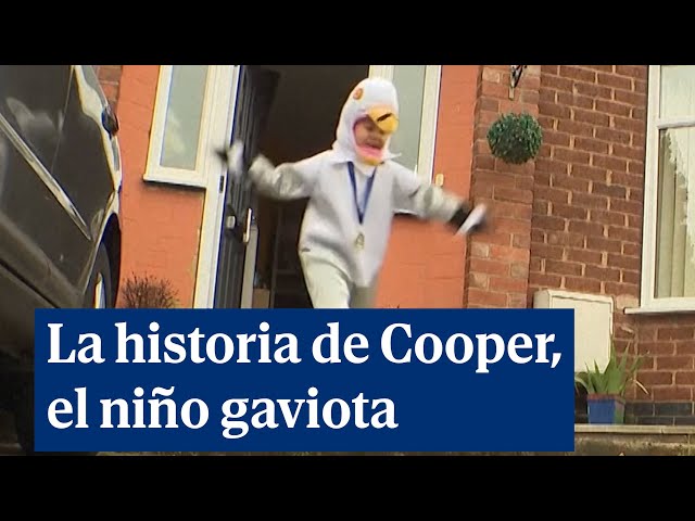 Cooper, el niño de 9 años que ha ganado la loca competición europea de imitadores de gaviotas