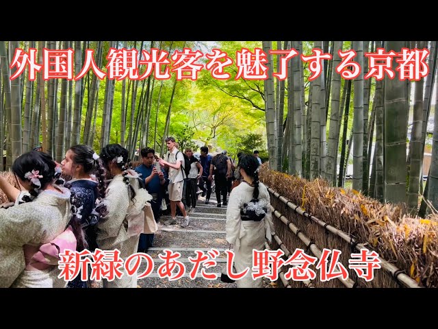 2024年4月25日 外国人観光客を魅了する京都 新緑のあだし野念仏寺を歩く Walking around Adashino Nenbutsuji Temple 【4K】