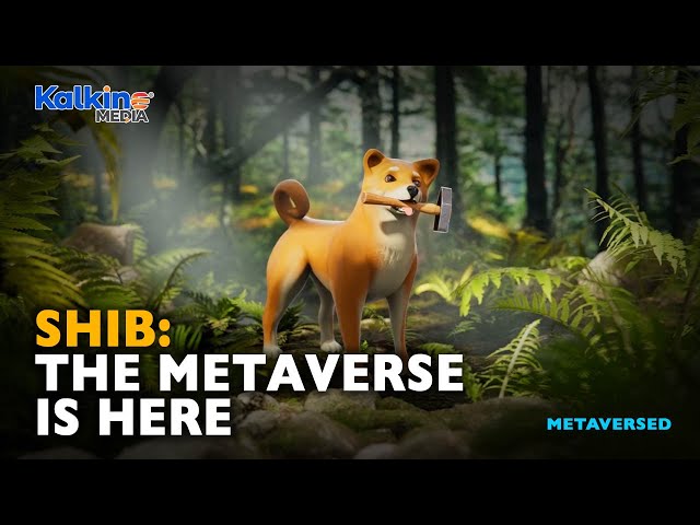 Shiba Inu's Metaverse to feature over 100K plots of land